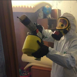 Уничтожение клопов в квартире. Стрешнево